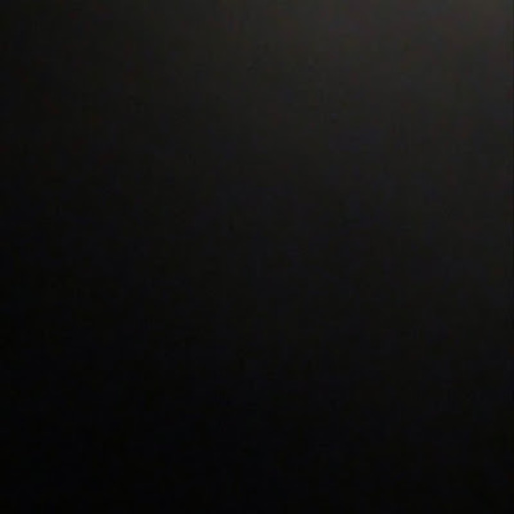 Meet your Posher, Layla - Picture 1 of 1